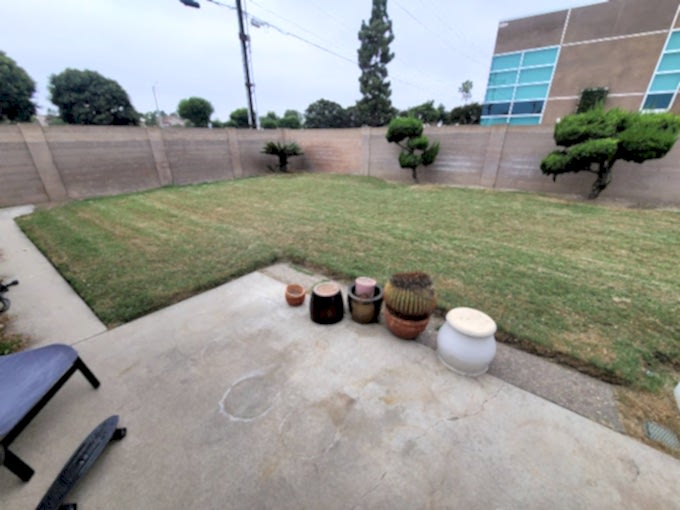 Freshly mowed lawn